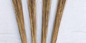 Maharani Red Ring Long Hard Broom