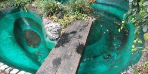 Pond Lining Services