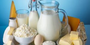 Dairy Products