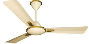 Ceiling Fans