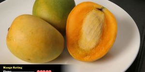 Alphonso Mango