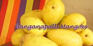 Banganapalli Mango