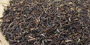 Premium Darjeeling Tea