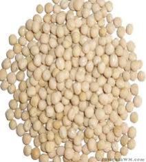 Dry White Peas
