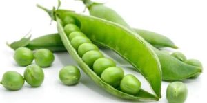 Fresh Green Peas