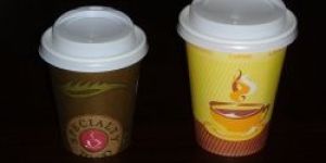 Paper Cup with Lids