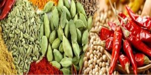 Steam Sterilized Spices