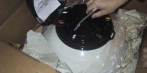 Canadian Frozen Semeins Processing Services