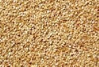 Roasted Sesame Seeds