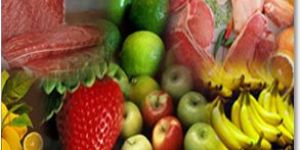 Perishable Cargo Services