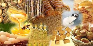 Organic Vermicompost