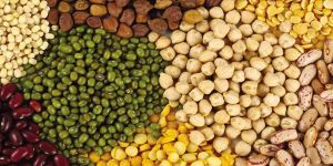 Organic Pulses