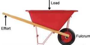 Garden Wheelbarrow