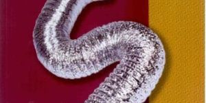 FLEXIBLE DUCTS INSULATED