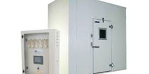 Banana Ripening Plant