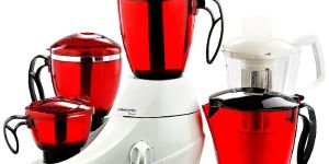 Butterfly Mixer Grinder