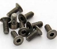 Titanium Screws