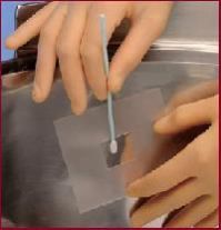 Cleaning Validation Swabs