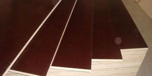 Shuttering Plywood