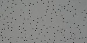 Acoustic Ceiling Tiles