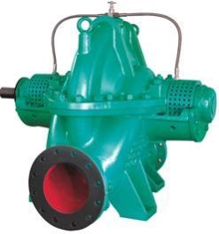 Standard Horizontal Split Case Pump