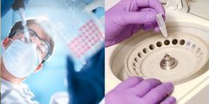 Medical Display Controllers