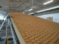 Biscuit Cooling Conveyor