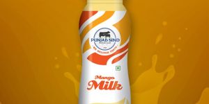 Punjab Sind Mango Milk