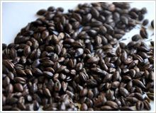 Roasted Malt
