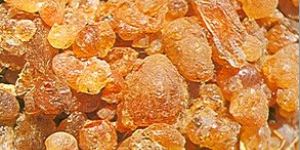 Agricultural Poducts