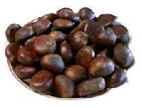 Fresh Chestnut