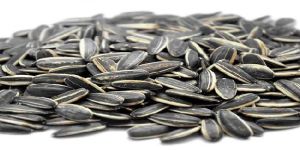 Sunflower Seeds