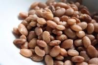 Dried Beans