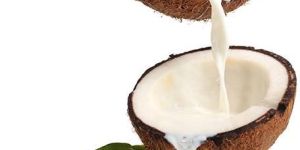 Coconut Milk