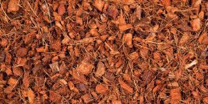 Coir Mulch