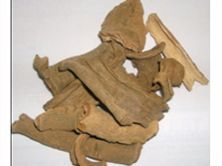 Crataeva Nurvala Bark