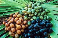 Saw Palmetto Extract
