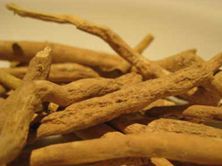 Withania Somnifera Root
