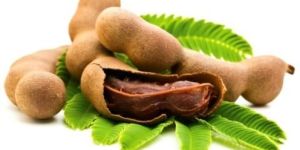 Tamarind