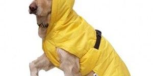 Zorba Rain Coat , 18-inch