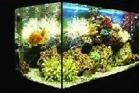 Marine Aquarium