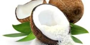 Defatted Desiccated Coconut Powder