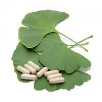 Ginkgo Biloba Extract