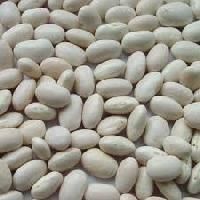 White Kidney Beans Extract