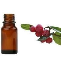 Gaultheria Procumbens Oil