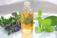 Mentha Citrata Oil
