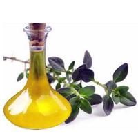 Thyme Oil
