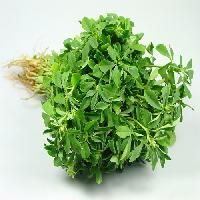 FENUGREEK OIL CAPSULES