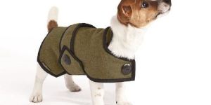 Dog Coats