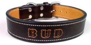 Dog Collars